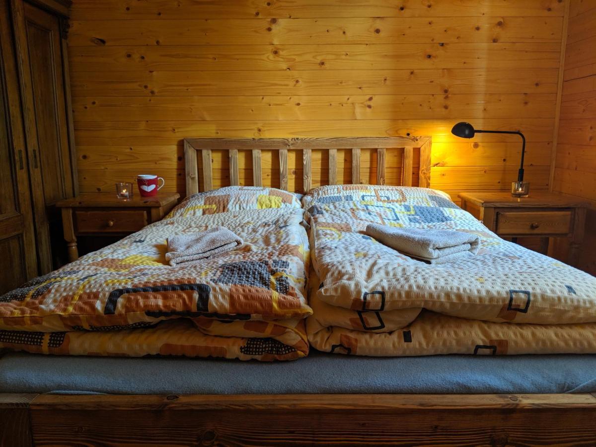 Luxury Apartment In Sumava National Park โนวาเปซ ภายนอก รูปภาพ